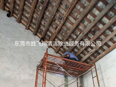石排曾氏宗祠防治白蚁