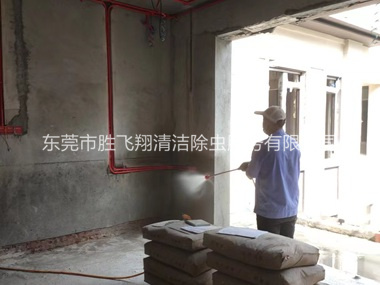 谢岗装修预防白蚁工程
